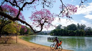 A primavera é a estação perfeita para explorar novos lugares de bicicleta (Imagem: jrduarte | Shutterstock)