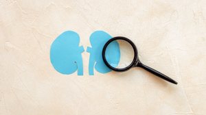 Investigação apurada é essencial para a detecção precoce da doença renal crônica (Imagem: 9dream studio | Shutterstock)