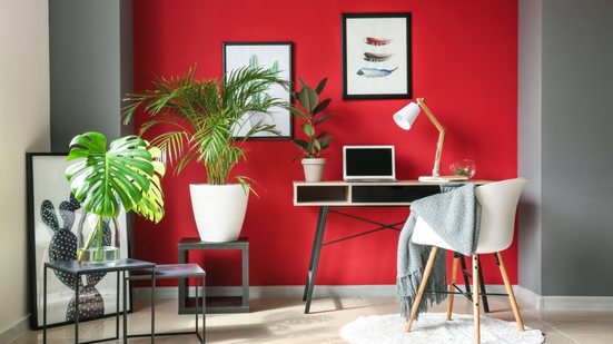O Feng Shui ajuda a melhorar a energia da casa na primavera (Imagem: Pixel-Shot | Shutterstock)