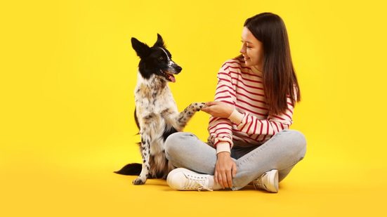 Ensinar comandos básicos ao cachorro é essencial para a comunicação com o tutor (Imagem: New Africa | Shutterstock)