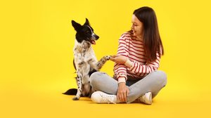 Ensinar comandos básicos ao cachorro é essencial para a comunicação com o tutor (Imagem: New Africa | Shutterstock)