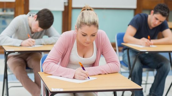 A redação do Enem avalia simultaneamente a capacidade de argumentação, pensamento crítico e escrita (Imagem: wavebreakmedia | Shutterstock)