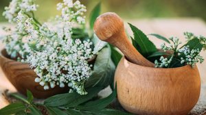 A valeriana é utilizada por seus efeitos relaxantes e calmantes (Imagem: Lipatova Maryna | Shutterstock)