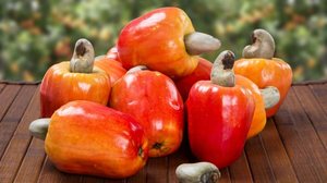 O caju é rico em nutrientes essenciais para o bom funcionamento do organismo (Imagem: Paulo Vilela | Shutterstock)