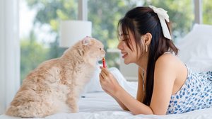 Os petiscos contribuem para a saúde física e mental dos animais (Imagem: Bangkok Click Studio | Shutterstock)