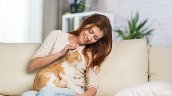 Gatos idosos precisam de cuidados especiais para se manterem saudáveis e felizes (Imagem: Media Home |  Shutterstock)