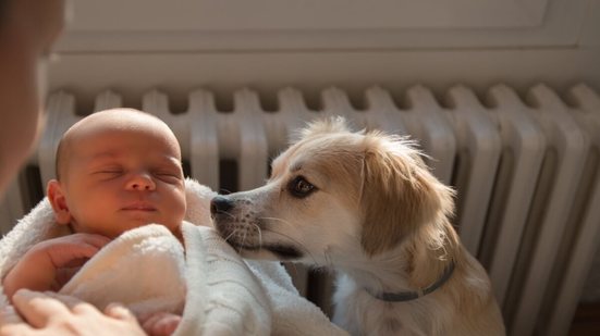 Adaptar o pet à chegada do bebê garante que ele se sinta acolhido durante as mudanças na rotina (Imagem: Daniel Besic | Shutterstock)
