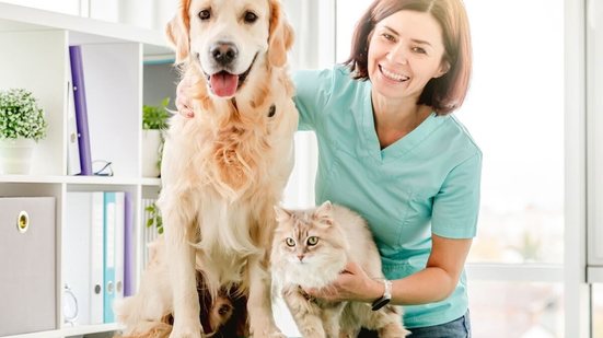 A medicina veterinária avançou muito nas últimas décadas, permitindo que doenças antes consideradas graves ou fatais sejam hoje controladas (Imagem: In Green | Shutterstock)