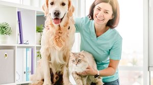 A medicina veterinária avançou muito nas últimas décadas, permitindo que doenças antes consideradas graves ou fatais sejam hoje controladas (Imagem: In Green | Shutterstock)