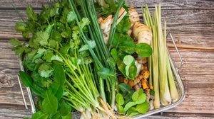 As ervas ajudam a elevar o sabor das receitas (Imagem: suplim | Shutterstock)