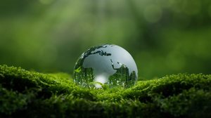 Questões relacionadas ao meio ambiente têm se tornado frequentes nas provas de vestibulares (Imagem: dee karen | Shutterstock)