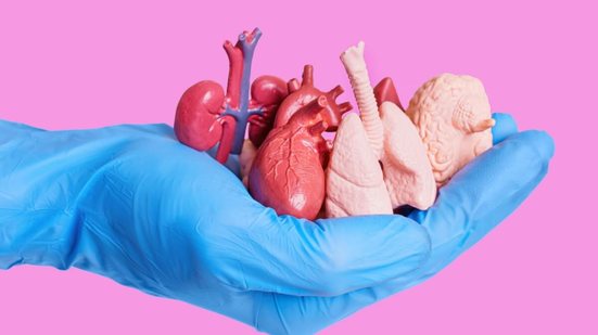 A doação de órgãos é um ato de solidariedade e pode transformar vidas (Imagem: Chizhevskaya Ekaterina | Shutterstock)