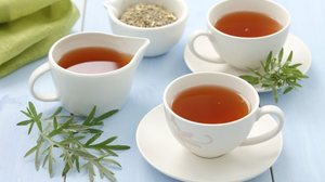 Chá de losna (Imagem: beta7 | Shutterstock)