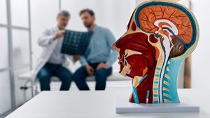 Os tumores de cabeça e pescoço podem atingir diferentes regiões e, muitas vezes, começam com sintomas discretos (Imagem: Peakstock | Shutterstock)