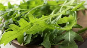 A rúcula é fonte de nutrientes essenciais para a saúde do corpo (Imagem: New África | Shutterstock)