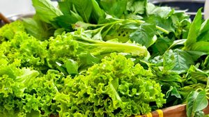 O consumo regular de folhas verdes traz benefícios para a saúde física e mental (Imagem: Cahya Drajat | Shutterstock)