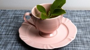 O chá de bolso contribui para a desintoxicação do fígado (Imagem: Studio Neeby | Shutterstock)