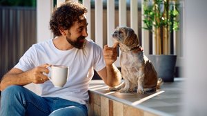 Conquistar a confiança do cachorro é um dos passos mais importantes para garantir o bem-estar do animal (Imagem: Drazen Zigic | Shutterstock)