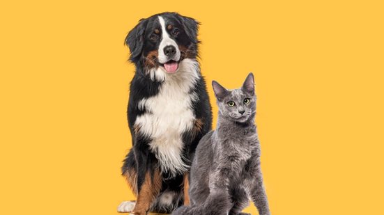 O cuidado com o hálito dos cães e gatos ajuda a evitar diferentes tipos de doenças (Imagem: Eric Isselee | Shutterstock)