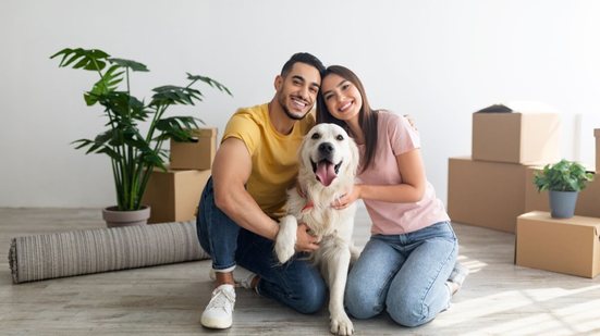Estratégias simples tornam a mudança na rotina dos pets mais leve (Imagem: Prostock-studio | Shutterstock)