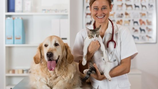 As doenças renais são comuns em cães e gatos (Imagem: 135pixels | Shutterstock)