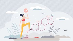 A testosterona é fundamental para a saúde da mulher (Imagem: VectorMine | Shutterstock)