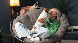 A convivência diária com cães e gatos pode transformar a vida dos tutores (Imagem: Gladskikh Tatiana | Shutterstock)