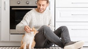 O uso de petiscos é uma das formas mais eficazes de ensinar o gato a vir quando chamado (Imagem: Pixel-Shot | Shutterstock)