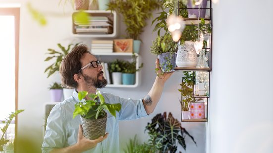 As plantas potencializam a sensação de proteção, cuidado, sorte e prosperidade no lar (Imagem: PIKSEL | Shutterstock)