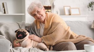 Algumas raças de cachorro são ideais para pessoas idosas (Imagem: Pixel-Shot | Shutterstock)