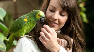 Os papagaios podem reproduzir falas humanas (Imagem: Creative Wright | Shutterstock)