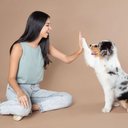Estimular a inteligência dos cães é cuidar da mente, das emoções e da relação entre humano e animal (Imagem: Paula Corchuelo | Shutterstock)