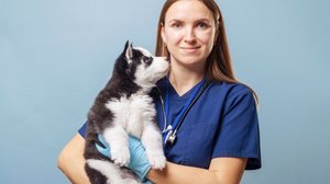O sistema imunológico em formação torna os filhotes de pets mais suscetíveis a infecções, vírus e bactérias (Imagem: Andrii Spy_k
| Shutterstock)