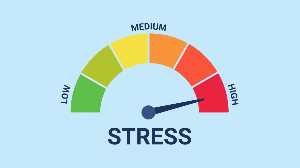 O estresse pode causar diversos sintomas que afetam a qualidade de vida (Imagem: Fagreia | Shutterstock)
