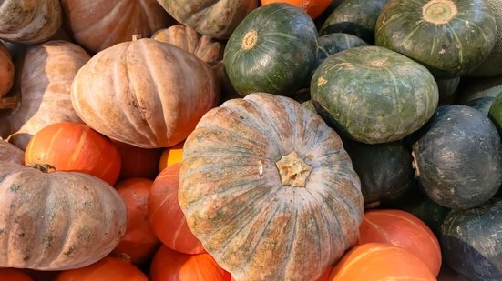 Cada tipo de abóbora é ideal para uma receita (Imagem: HJINATA | Shutterstock)