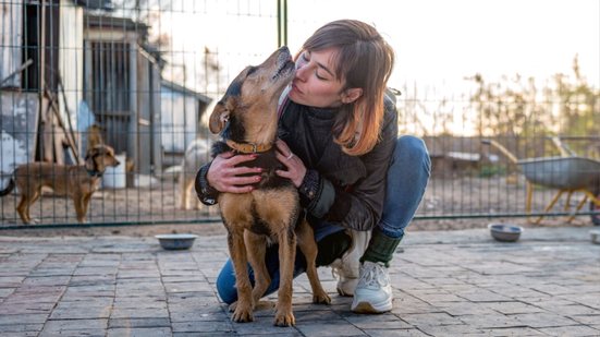 A adoção no Brasil ainda é fortemente guiada por um viés estético e prático (Imagem: andysavchenko | Shutterstock)