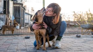 A adoção no Brasil ainda é fortemente guiada por um viés estético e prático (Imagem: andysavchenko | Shutterstock)