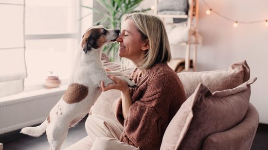 O bem-estar dos pets começa nas atitudes do dia a dia (Imagem: Gladskikh Tatiana | Shutterstock)