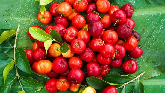 A acerola é uma excelente fonte de vitamina C (Imagem: Mr.Somchai Sukkasem | Shutterstock)