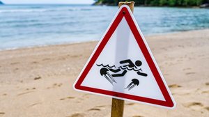 Queimaduras por água-viva são comuns no verão e pedem atenção (Imagem: Bubbers BB | Shutterstock)