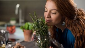 O alecrim é um arbusto aromático e perene que se adapta bem ao cultivo doméstico (Imagem: Ground Picture | Shutterstock)