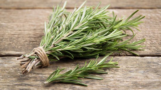 Conhecido pelo aroma marcante, o alecrim também é associado a práticas de limpeza e blindagem espiritual (Imagem: Nataliia K | Shutterstock)