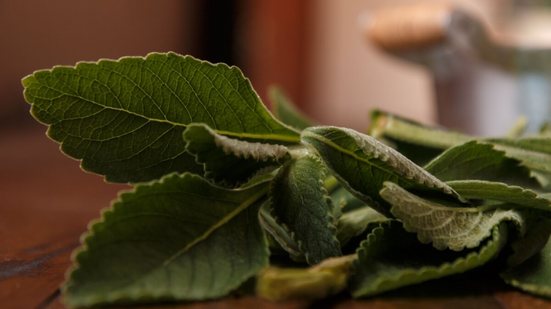 O banho de bolso é usado para ajudar a limpar e renovar o corpo, a mente e o espírito (Imagem: wesleyrocio | Shutterstock)