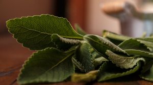 O banho de bolso é usado para ajudar a limpar e renovar o corpo, a mente e o espírito (Imagem: wesleyrocio | Shutterstock)