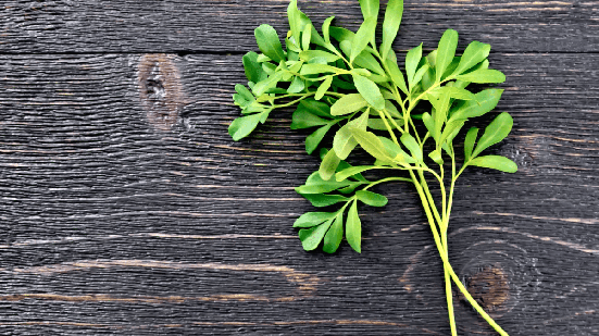 No bate-folhas, cada erva desempenha uma função específica para restaurar a harmonia do ambiente (Imagem: kostrez | Shutterstock)