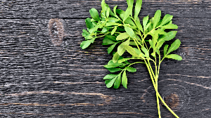 No bate-folhas, cada erva desempenha uma função específica para restaurar a harmonia do ambiente (Imagem: kostrez | Shutterstock)
