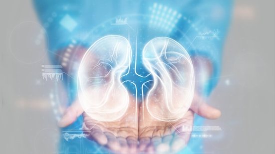 O câncer de rim pode avançar sem sintomas nos estágios iniciais (Imagem: Marko Aliaksandr | Shutterstock)