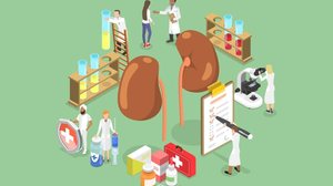 O carcinoma renal de células claras é a forma mais comum de câncer nos rins (Imagem: TarikVision | Shutterstock)