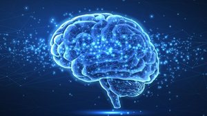 Comer carne vermelha processada em excesso pode prejudicar a saúde (Imagem: CoreDESIGN | Shutterstock)