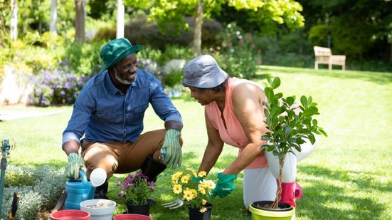 As plantas necessitam de cuidados especiais no inverno (Imagem: wavebreakmedia | Shutterstock)